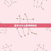 属羊与什么属相特别合，属羊的和属牛的合财吗