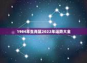 1984年生肖鼠2022年运势大全，84年女鼠2021年属鼠人的全年运