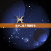 查十二生肖更佳婚配，查十二生肖时辰表