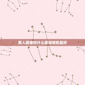 男人属猪和什么属相婚配最好，属相婚配，属猪的男人和属什么生肖是上等婚姻