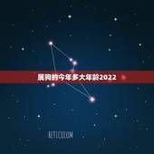 属狗的今年多大年龄2022，94属狗一生有几次婚姻