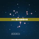 2021最火的昵称抖音，2023年抖音最火的网名是什么？