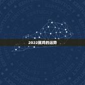 2022属鸡的运势，属鸡2022年运势及运程每月运程