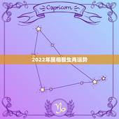 2022年属相猴生肖运势，2022年12生肖运势解析