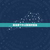 属龙要个什么属相的宝宝，属龙父亲生什么属相的宝宝好