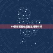 84鼠婚配最佳鼠和鼠婚姻咋样，84年属鼠的适合配什么生肖好