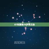 87年属兔34岁有三劫 1987年属兔35岁后会大富大贵