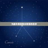 为属牛男孩有水有草的名字，男孩草字头吉利的名字属牛