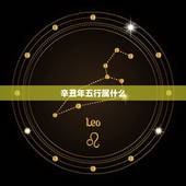 辛丑年五行属什么，戊辰年五行属什么