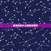 属鼠的和什么属相结婚好，属鼠的和什么属相最配