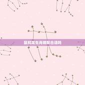 鼠和龙生肖婚配合适吗，男属鼠与女属龙相配吗？