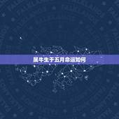 属牛生于五月命运如何，属牛生于2009年后5月好吗命运