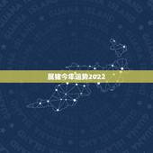 属猪今年运势2022，2022年必有添丁之喜的生肖