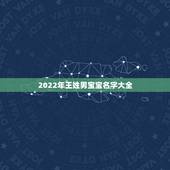 2022年王姓男宝宝名字大全，姓王男孩名字属猪