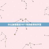 什么属相能给1977年的蛇带来财富，1977年属蛇的人和什么属相合作最
