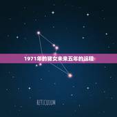 1971年的猪女未来五年的运程，1971年属猪的人2017年运程女