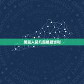 属鼠人买几层楼最吉利，生肖属鼠选楼层