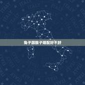 兔子跟猴子婚配好不好，兔和猴相配婚姻如何