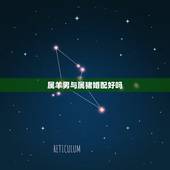 属羊男与属猪婚配好吗，男属羊和属猪的相配吗