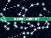 属牛的和什么属相合财，属牛男和属牛女和财吗