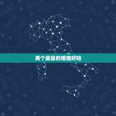 两个属鼠的婚姻好吗，两个属鼠的人本命年结婚