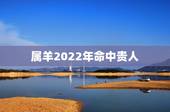 属羊2022年命中贵人 2022年属羊年要出大事