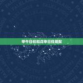 甲午日柱和戊申日柱婚配，已亥月已未日和甲午月戊申日八字合吗