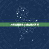 如果生肖猴猪结婚生什么属相，属猴的和属猪的可以结婚吗？