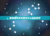 属相相冲的夫妻为什么还会很好，哪些人的婚姻生肖相冲反而好