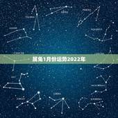属兔1月份运势2022年，1987年属兔2022年运势