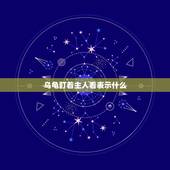 乌龟盯着主人看表示什么，乌龟为啥盯着我看？