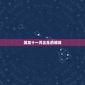 属龙十一月出生的婚姻，1988男龙和1980女猴相配吗