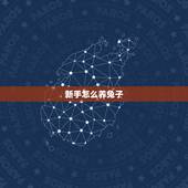 新手怎么养兔子，怎么养兔子繁殖最快