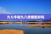 九七牛和九八虎婚配好吗，97年属牛和98年属虎的婚配怎样‘？
