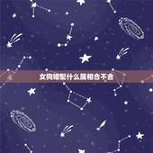 女狗婚配什么属相合不合，女属狗与什么属相相配