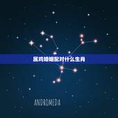 属鸡婚姻配对什么生肖，婚姻属鸡的和属什么的最配