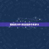 属蛇的2001年出生的今年多大，2001年出生到2022 年多少岁
