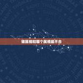 猪属相和哪个属相最不合，男属羊女属猪 我们属相合不合。