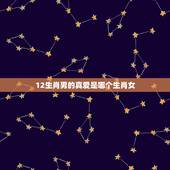 12生肖男的真爱是哪个生肖女，更爱小女人的生肖男