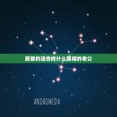 属猪的适合找什么属相的老公，属猪的女生和什么属相最配