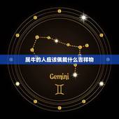 属牛的人应该佩戴什么吉祥物，属牛的人佩戴什么更好