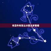 辛丑牛年怎么计算太岁属相，辛丑牛年只有354天，为何会比庚子鼠年少了3