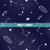 生肖十二属图片，看图猜生肖
