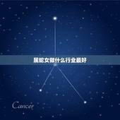 属蛇女做什么行业最好，属蛇人适合做什么工作