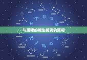 与属猪的相生相克的属相，属猪的结婚避开哪个属相