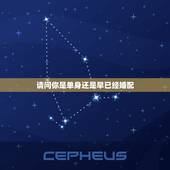 请问你是单身还是早已经婚配，请问你是否单身啊？