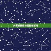 夫妻都属蛇的属相相配吗，属蛇的与属什么生肖相配