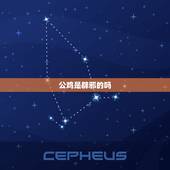 公鸡是辟邪的吗，公鸡为什么能辟邪
