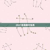 2021年是属什生肖，2021年24岁属什么生肖，2021年运势怎样？