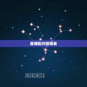 属相配对婚姻表，属相相配婚姻